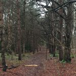 Pollok Country Park