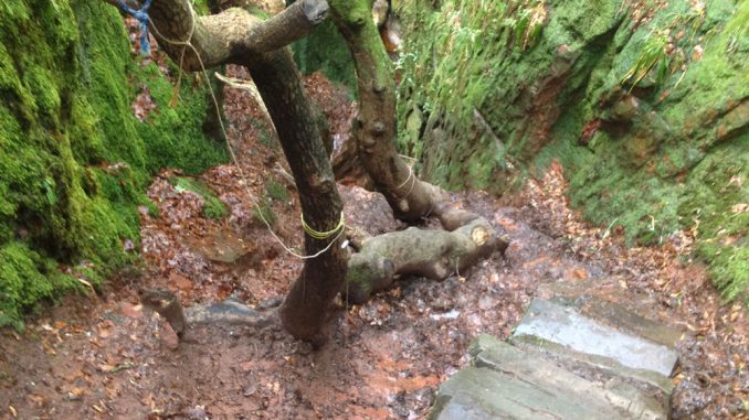 Devil'sPulpit Stairs