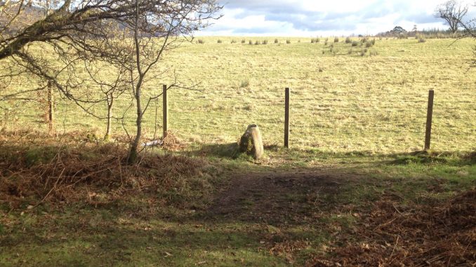 Fnnich Glen Stone