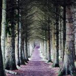 Beecraigs Country Park Beecraigs Country Park