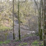 Calderglen Country Park Calderglen Country Park