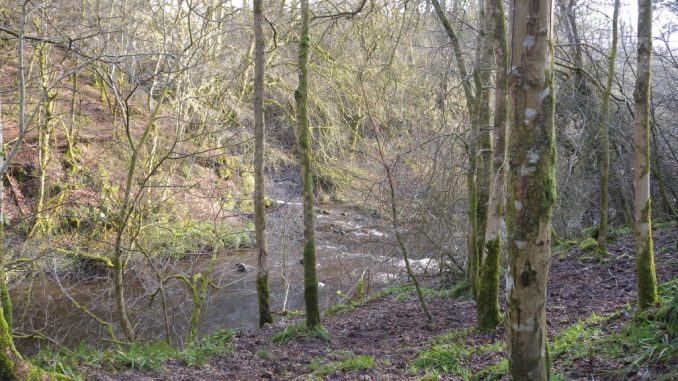 Calderglen Country Park