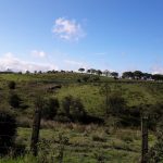 Torbrex Farm