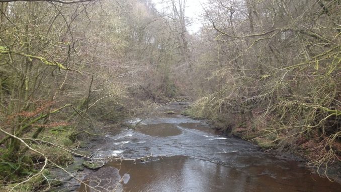 Rotten Calder River