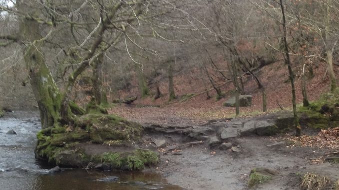 Calderglen Country Park Not Camp