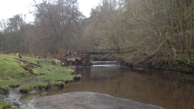 Horseshoe Falls