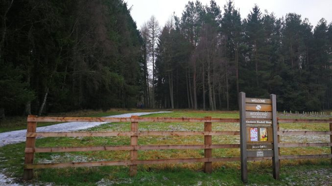 Kinclaven Bluebell Wood Sign