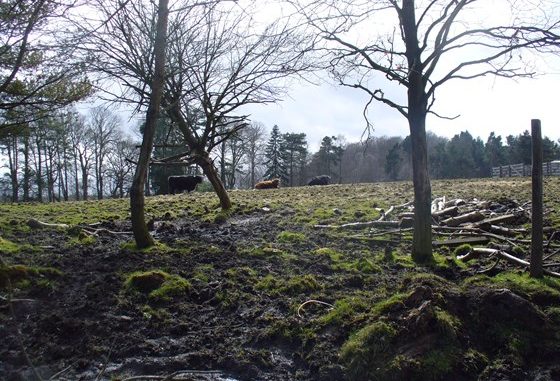 Muiravonside Country Park