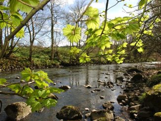 Muiravonside Country Park