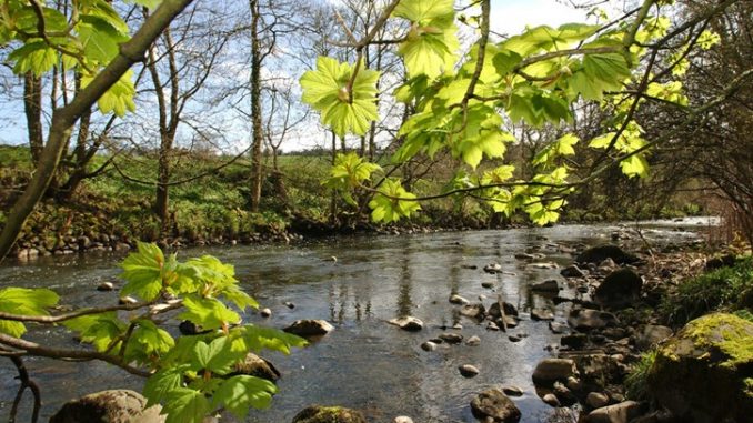 Muiravonside Country Park