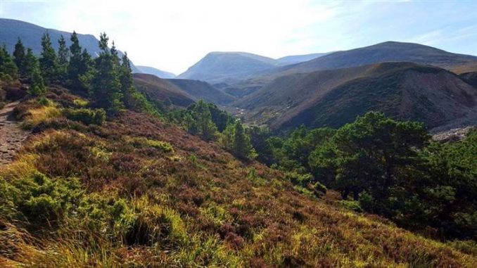 Tulloch Ghru