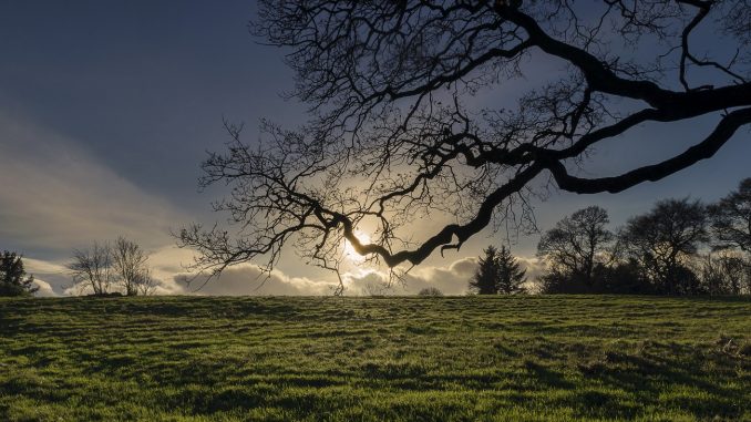 Muiravonside Country Park