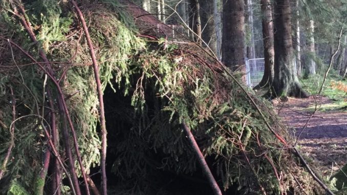 Cumbernauld Glen Shelter