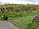 Culloden Battlefield